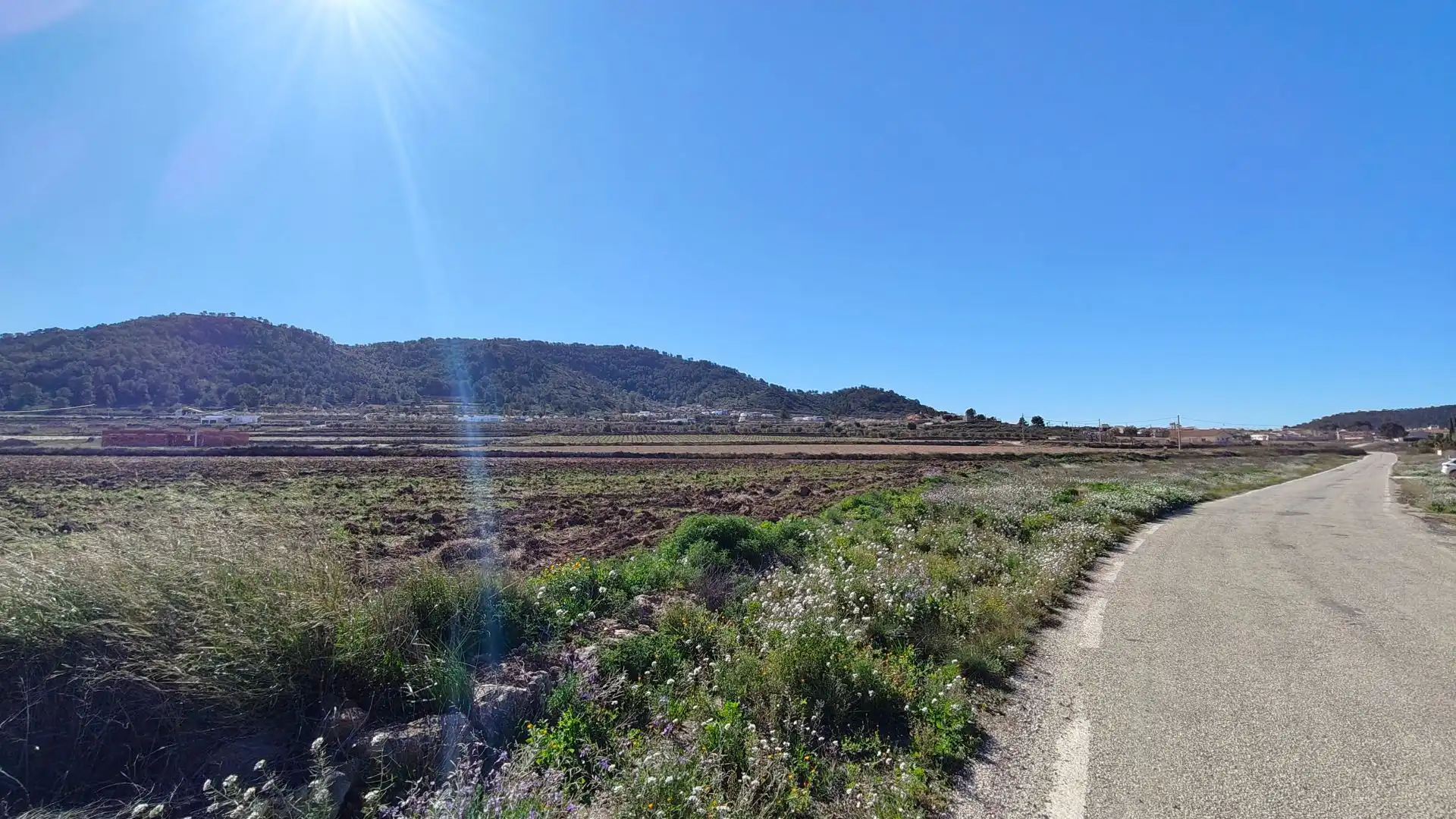 Lands and plots for sale in Abanilla, imagen 11