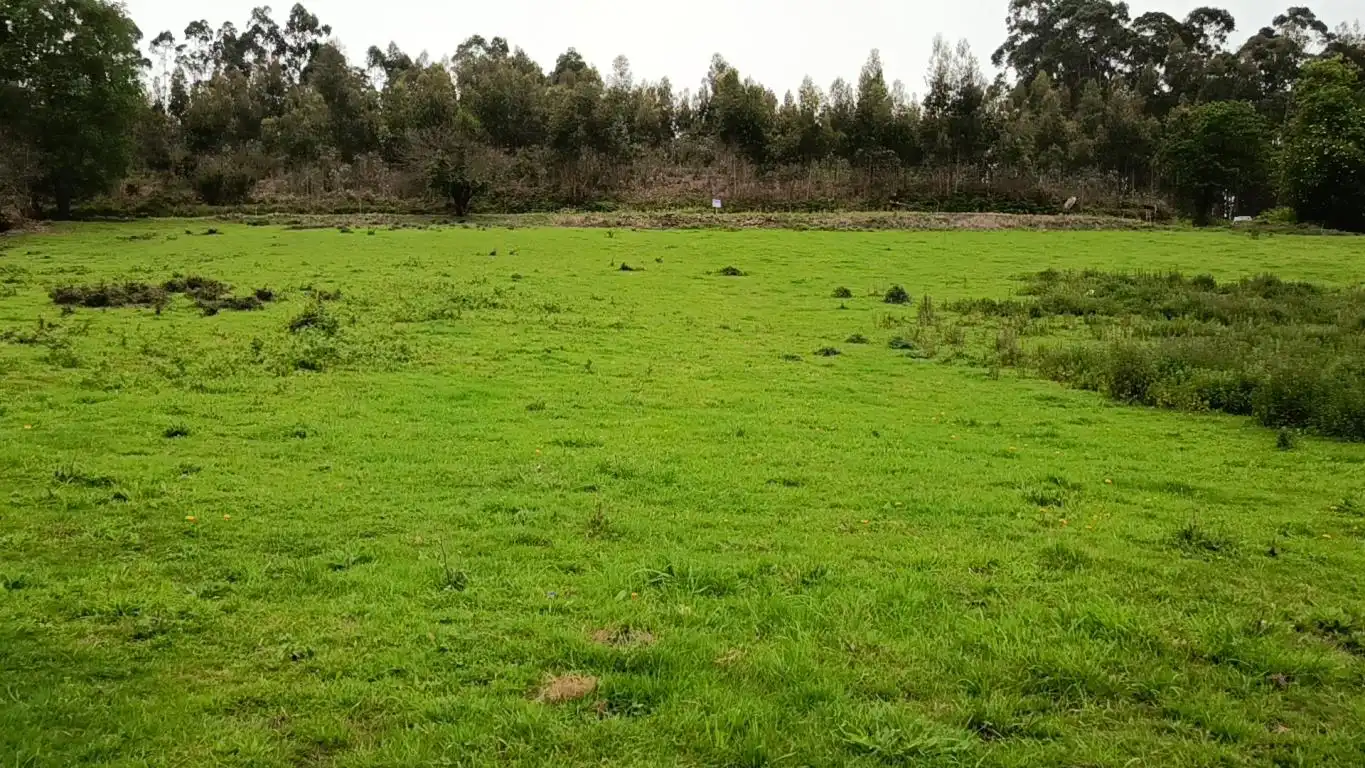 Grundstücke und Bauplätze zum Verkauf in Lugar Laguna, imagen 3