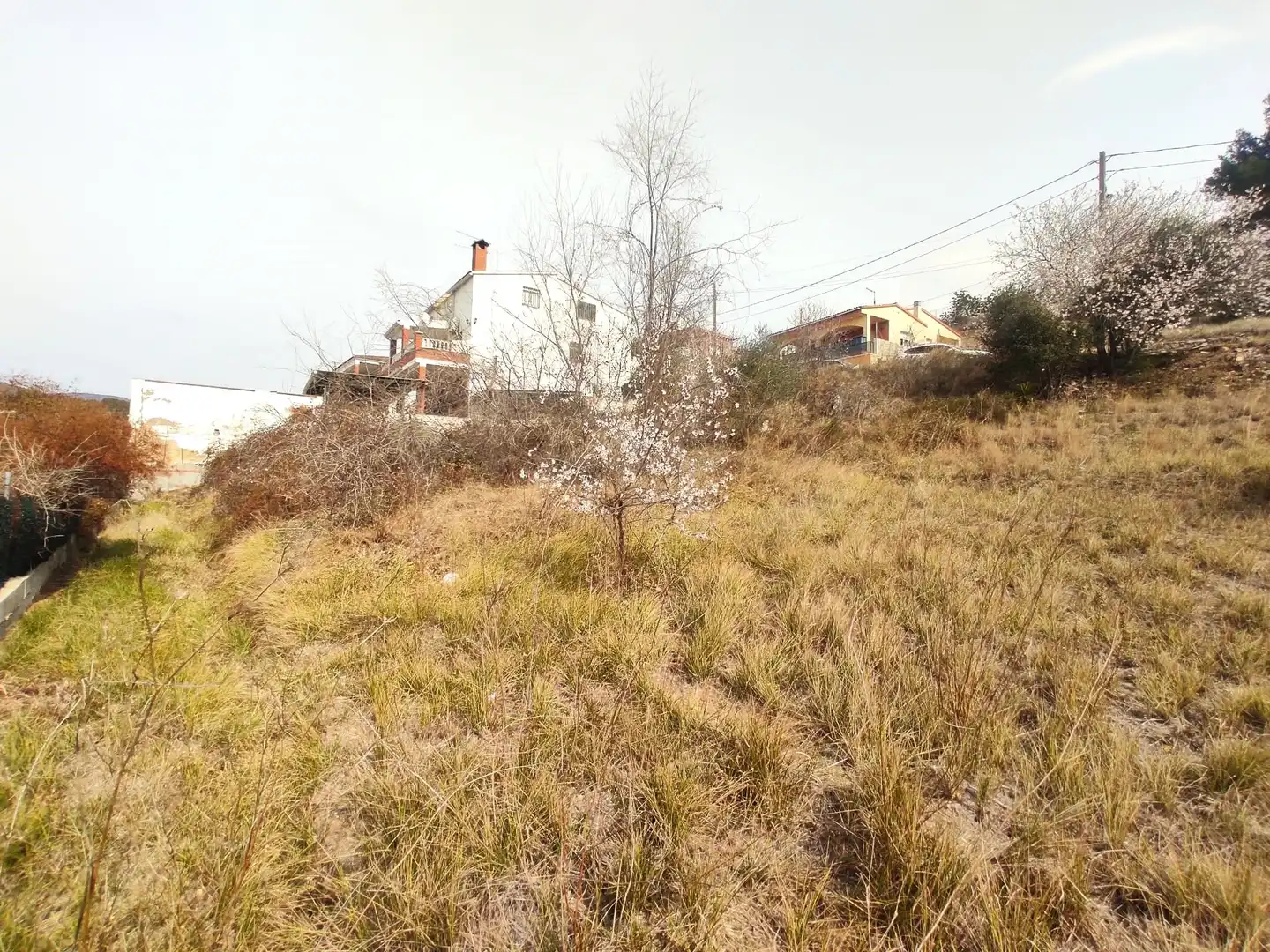 Terrenys i solars en venda a La Bisbal del Penedès, imagen 21