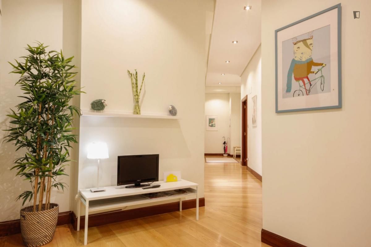 Apartment to share in Zabalburu