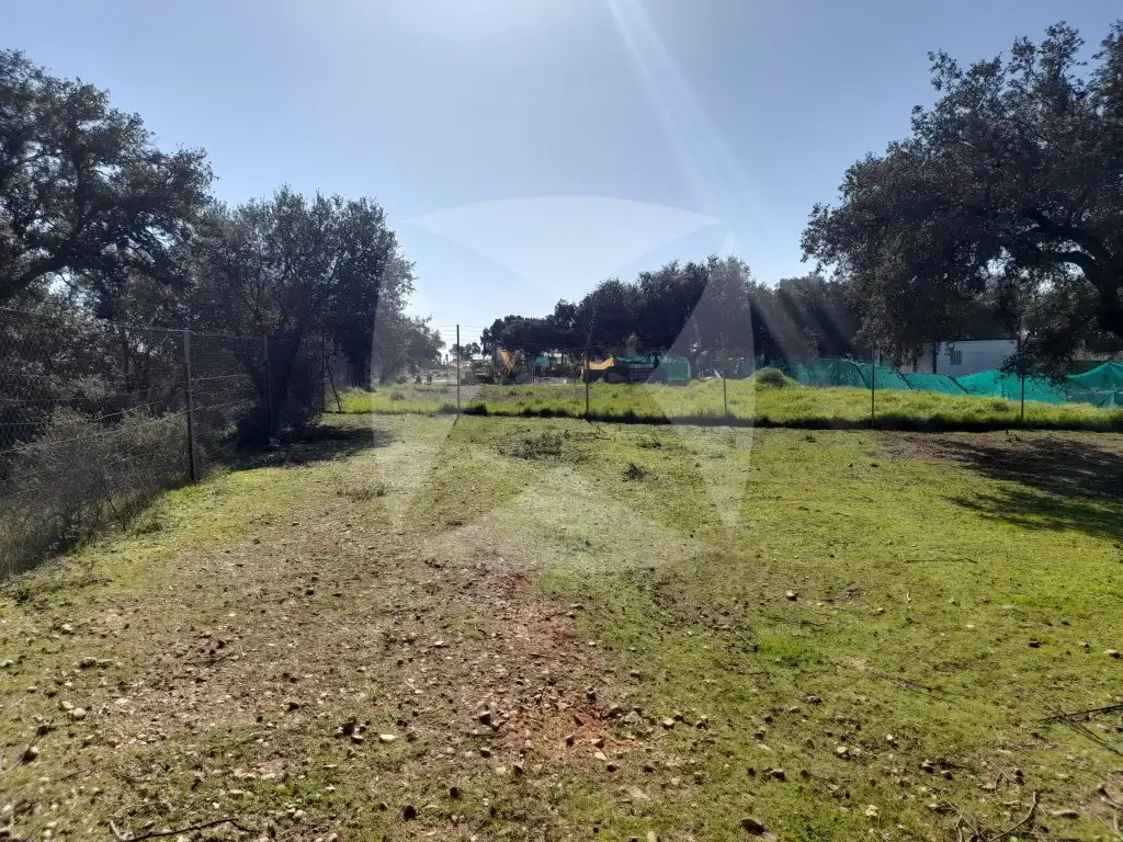 Terreni e lotti in vendita a Diseminados Malas Aradas, imagen 9