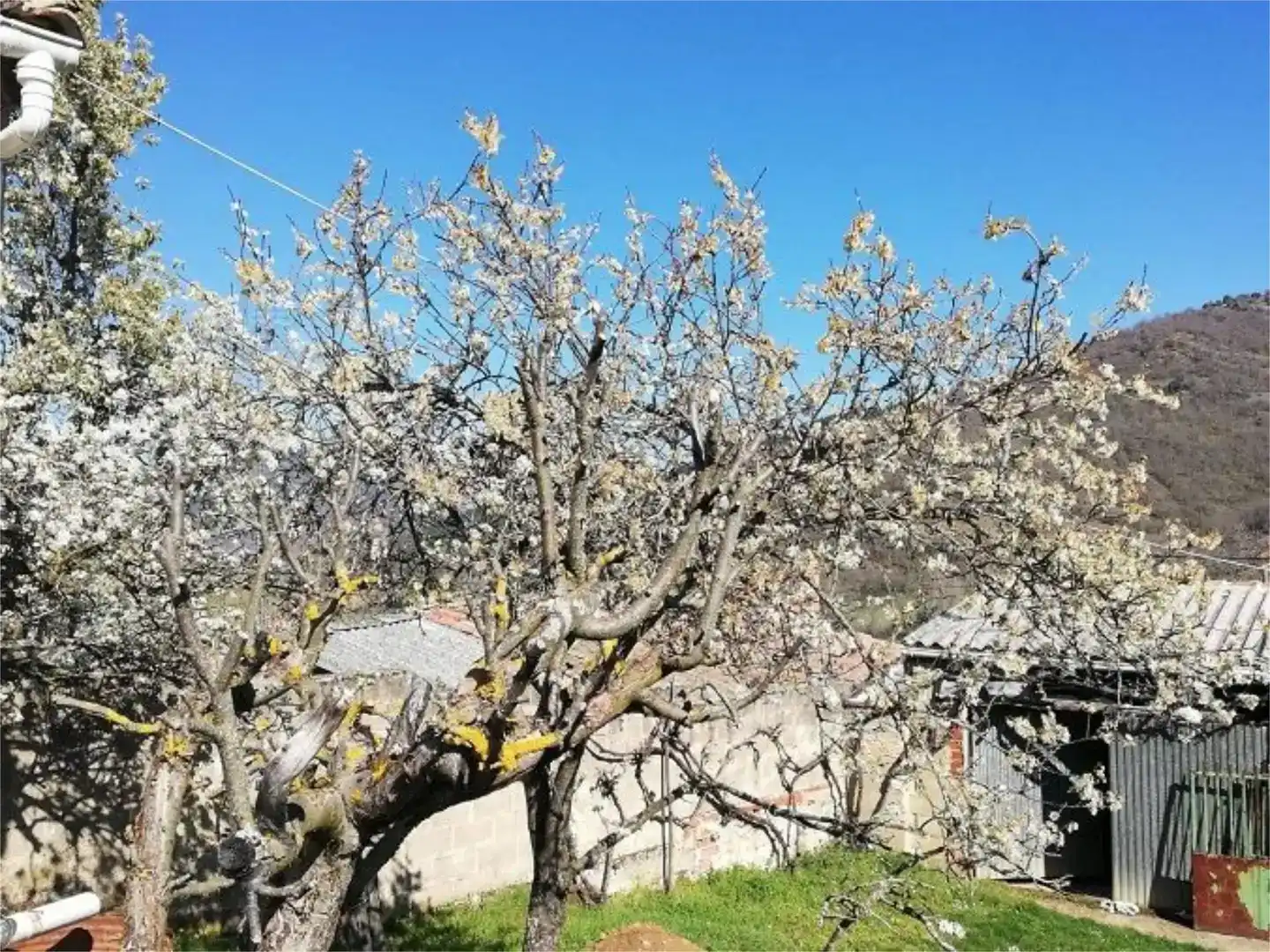 Jardí de Finca rústica en venda en Cistierna