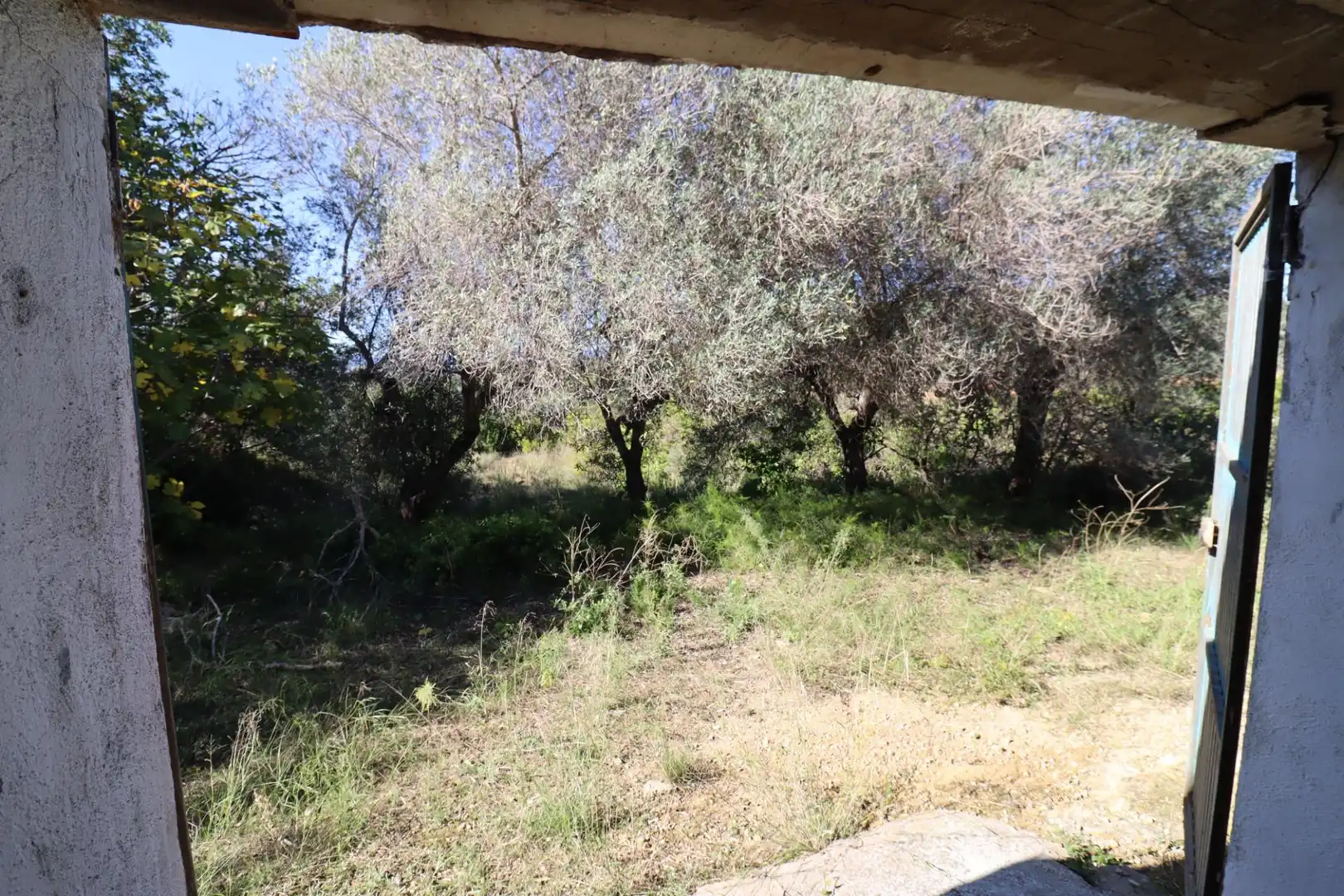 Grundstücke zum Verkauf in Ulldecona