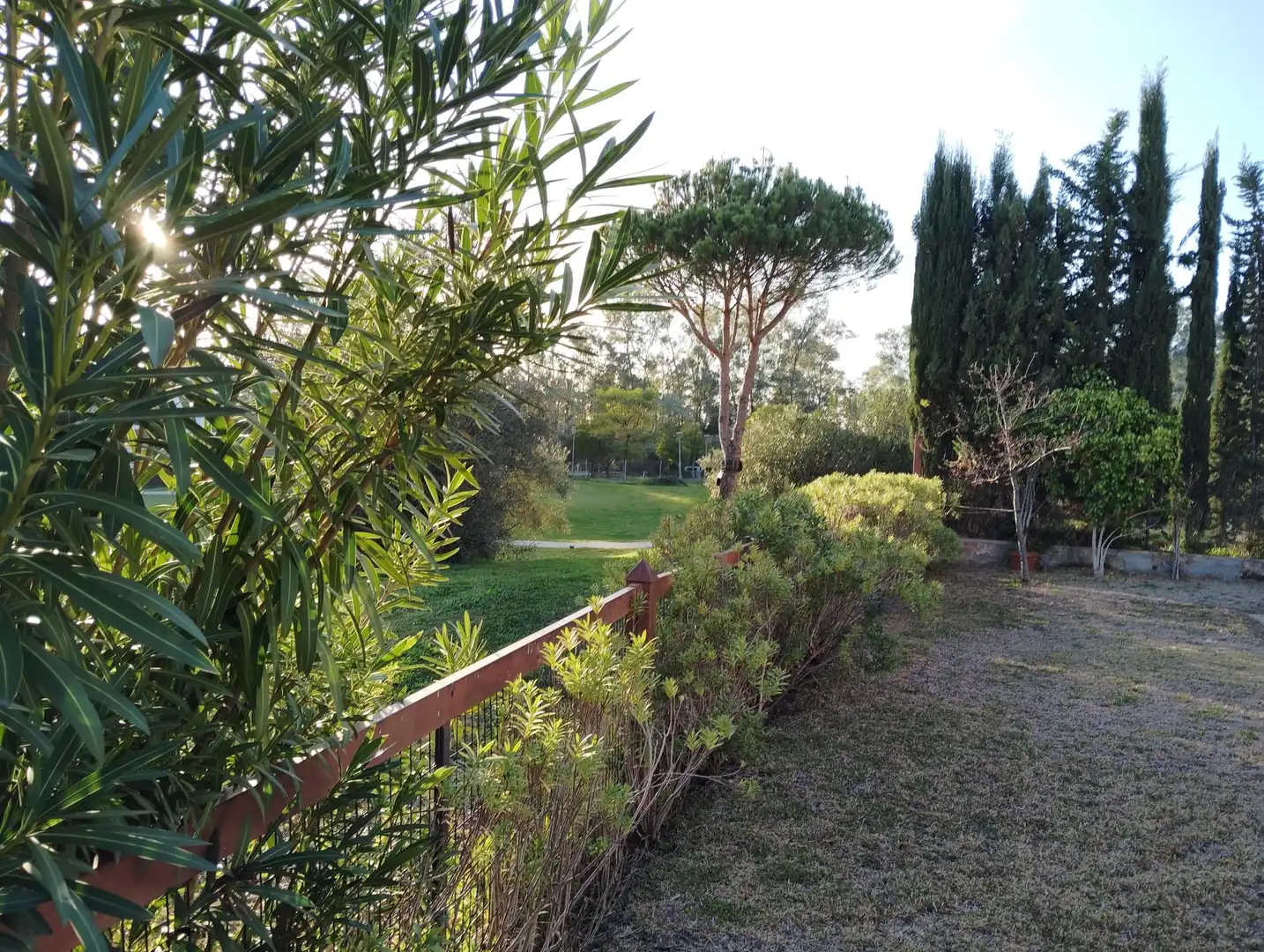Jardín de Casa o chalet en venta en Guillena con Aire acondicionado, Calefacción y Jardín privado