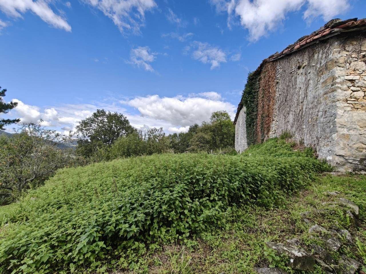 Casa o xalet en venda en Trucios-Turtzioz amb Jardí privat