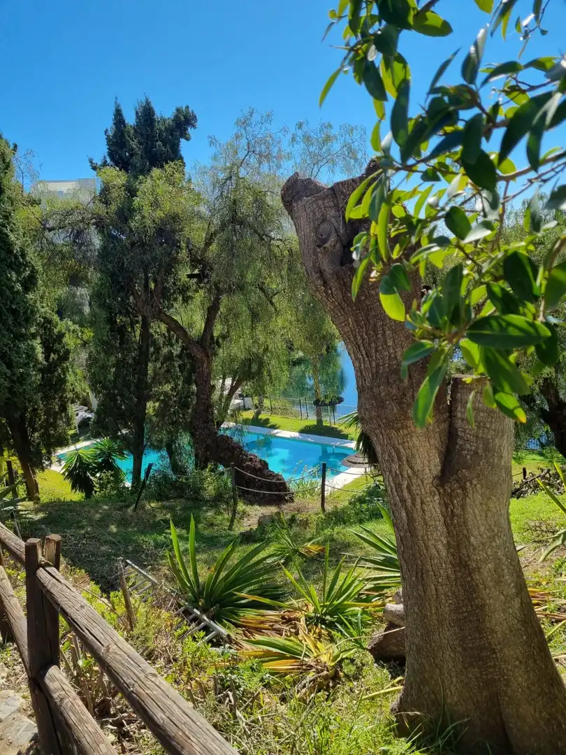 Apartment with pool for sale in HERROJO EL, imagen 12