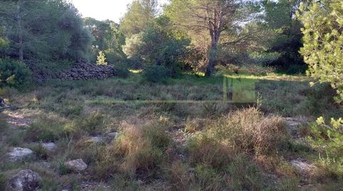 Photo 4 of Land for sale in Poligono Poligono 43, Partidas de interior - Zona Rústica, Vinaròs