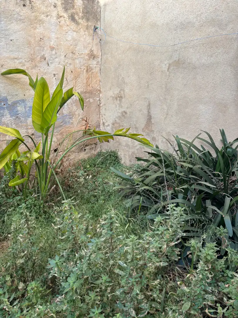 Haus zum Verkauf in Llucmajor pueblo, imagen 26