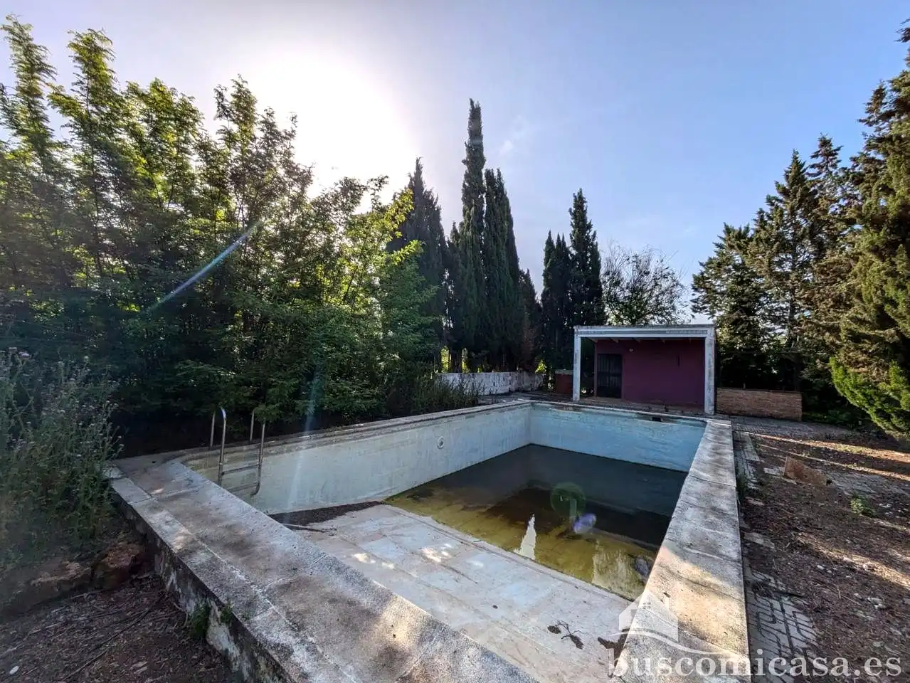 Piscina de Finca rústica en venda en Linares amb Jardí privat i Piscina