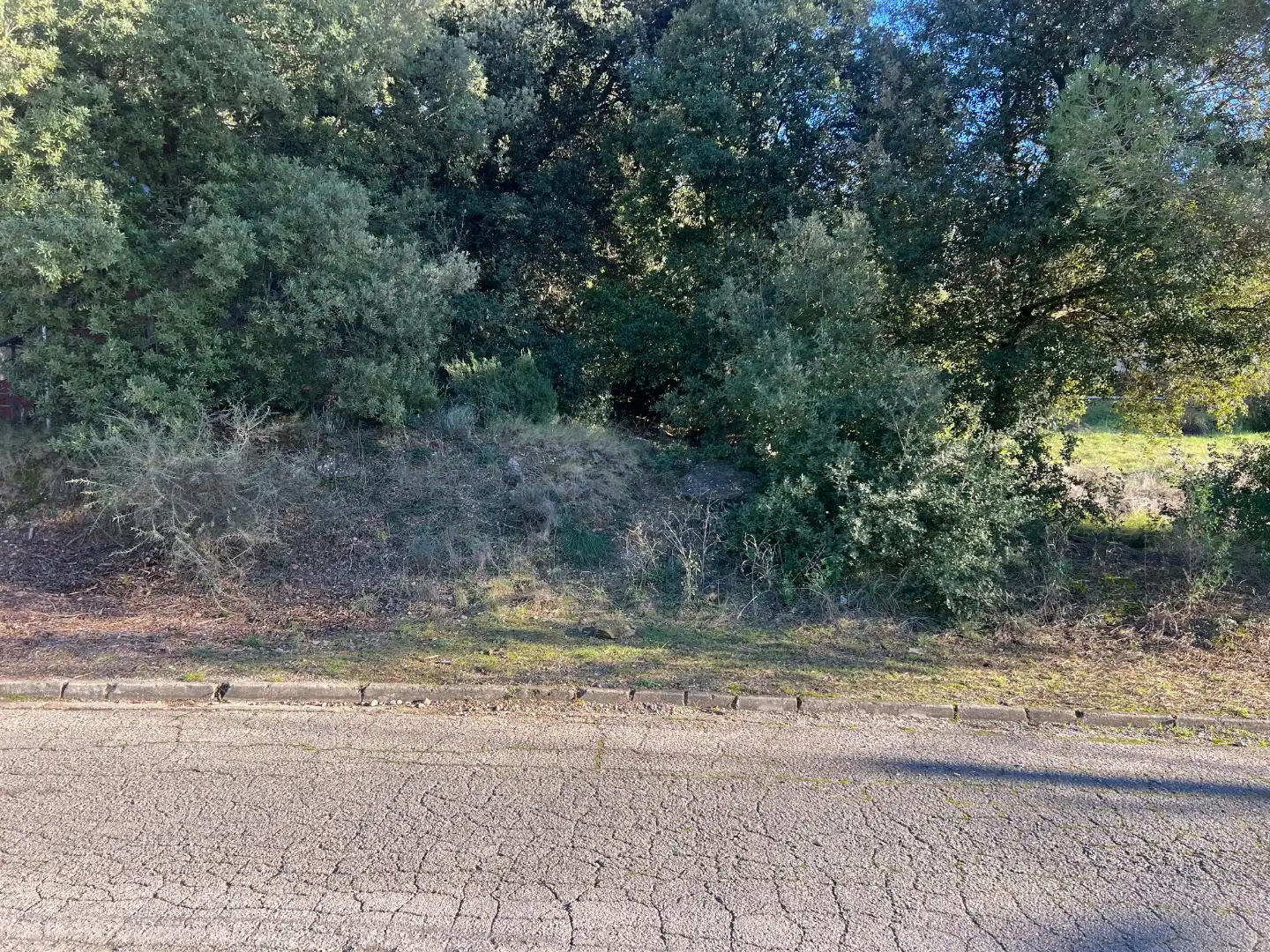 Residential land for sale in Carrer Rocafort 19, imagen 4