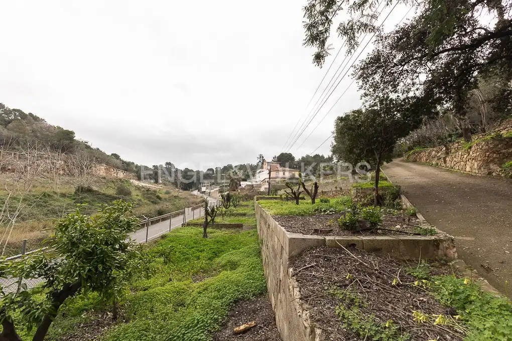 Terrenos y solares en venta en Urbanitzacions i Pedanies Nord, imagen 12
