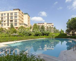 Swimming pool of Study for sale in  Madrid Capital  with Air Conditioner and Swimming Pool