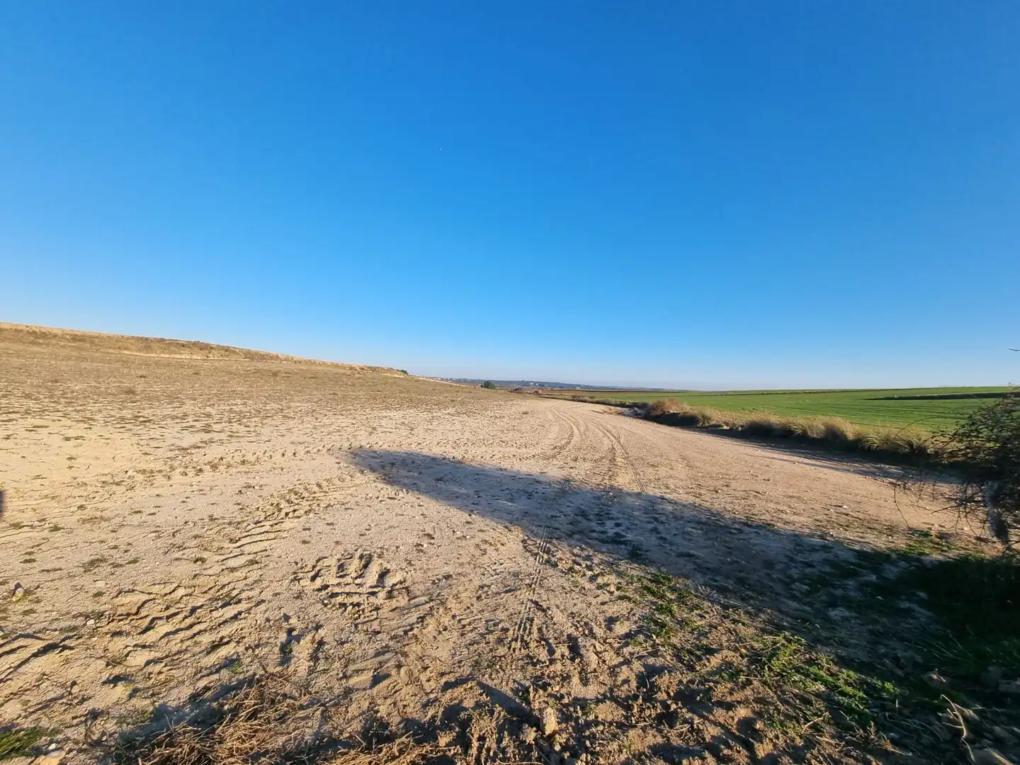 Rural land for sale in El Álamo