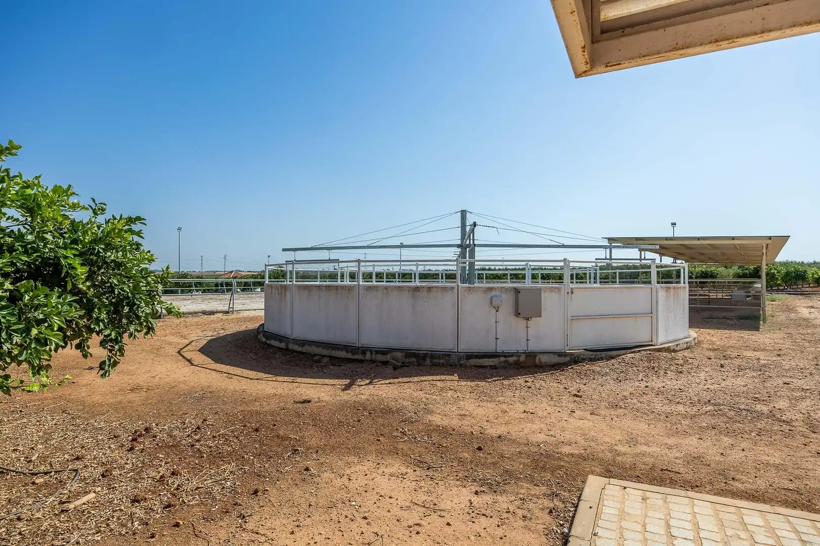 Vista exterior de Finca rústica en venta en Carmona con Calefacción, Jardín privado y Terraza