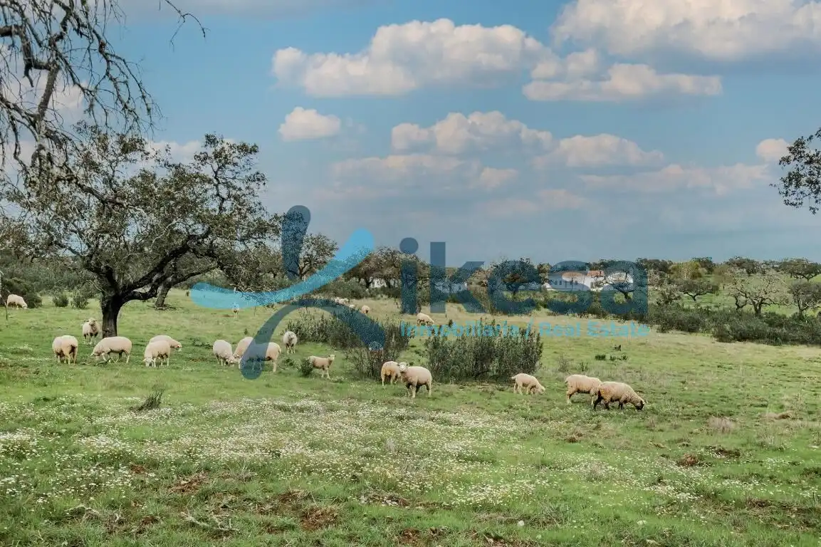 Terreno en venta en Puebla de Guzmán