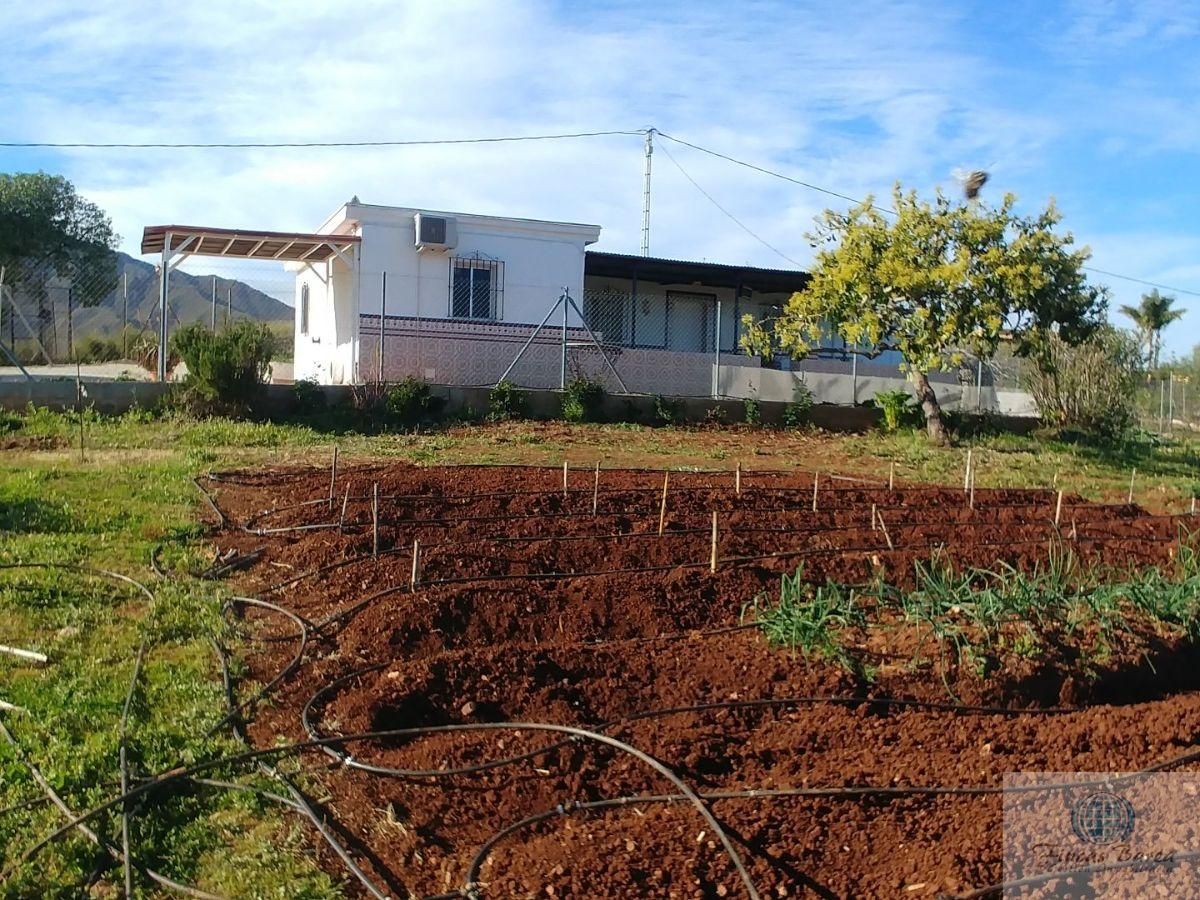 Finca rústica en venda a Valtocado - La Alquería - La Atalaya