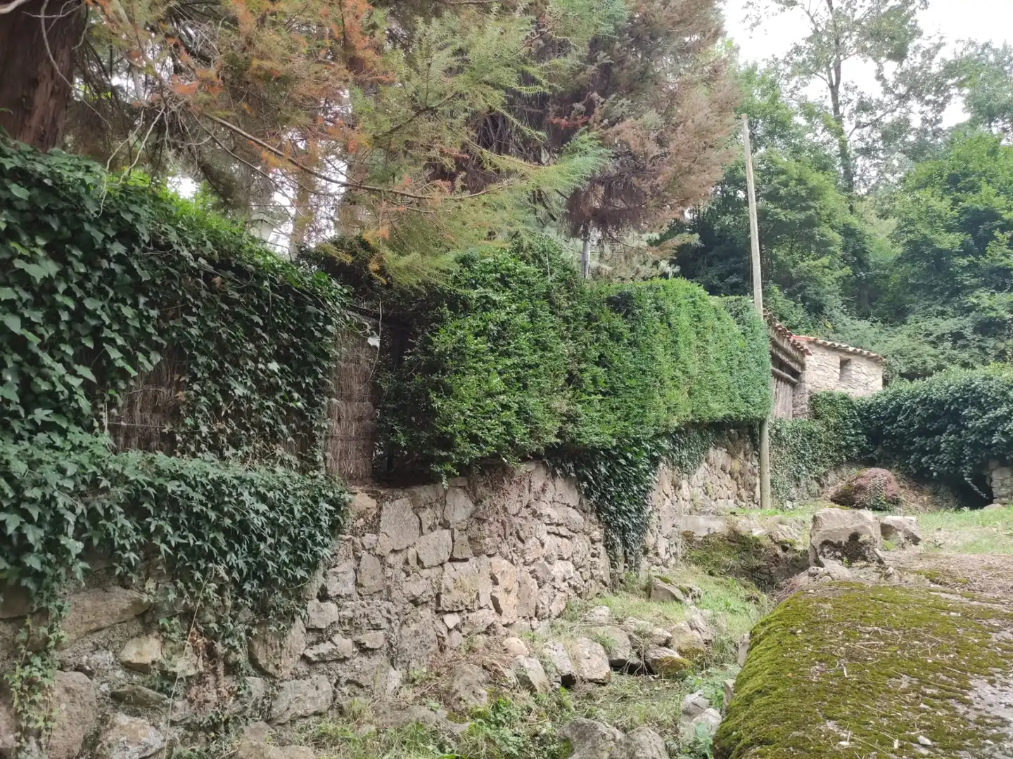 Garden of Country homes for sale in Ribes de Freser  with Heating, Private garden and Parquet flooring
