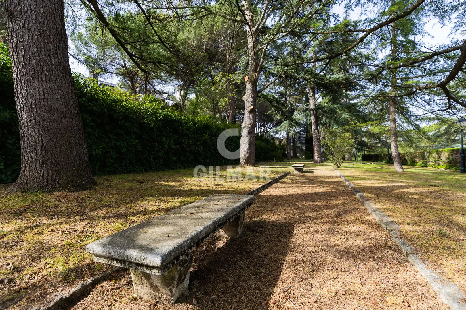 Jardín de Casa o chalet en venta en Collado Villalba con Calefacción
