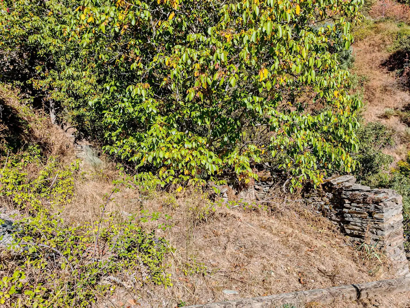 Finca rústica en venda en Ponferrada