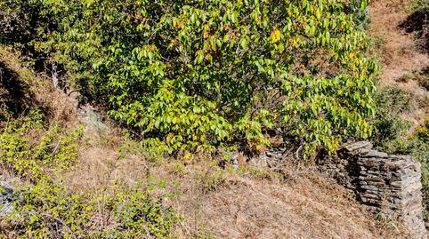 Foto 4 de Finca rústica en venda a Área Rural Sur, León