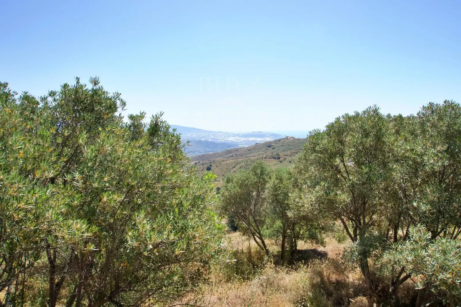 Terreny rústic en venda a Paraje El Poyetón, imagen 9