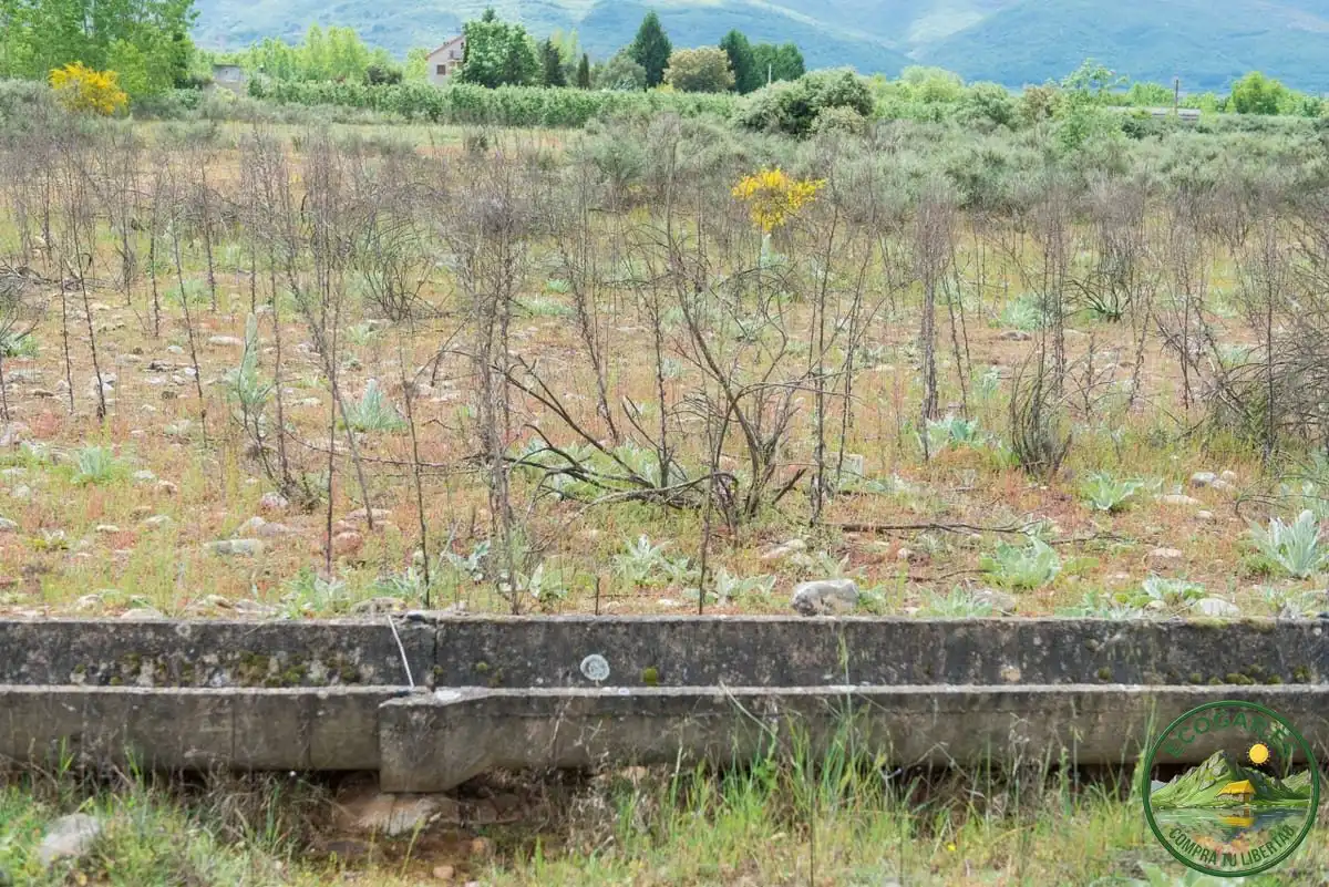 Terreni e lotti in vendita a Flores de Sil - La Placa