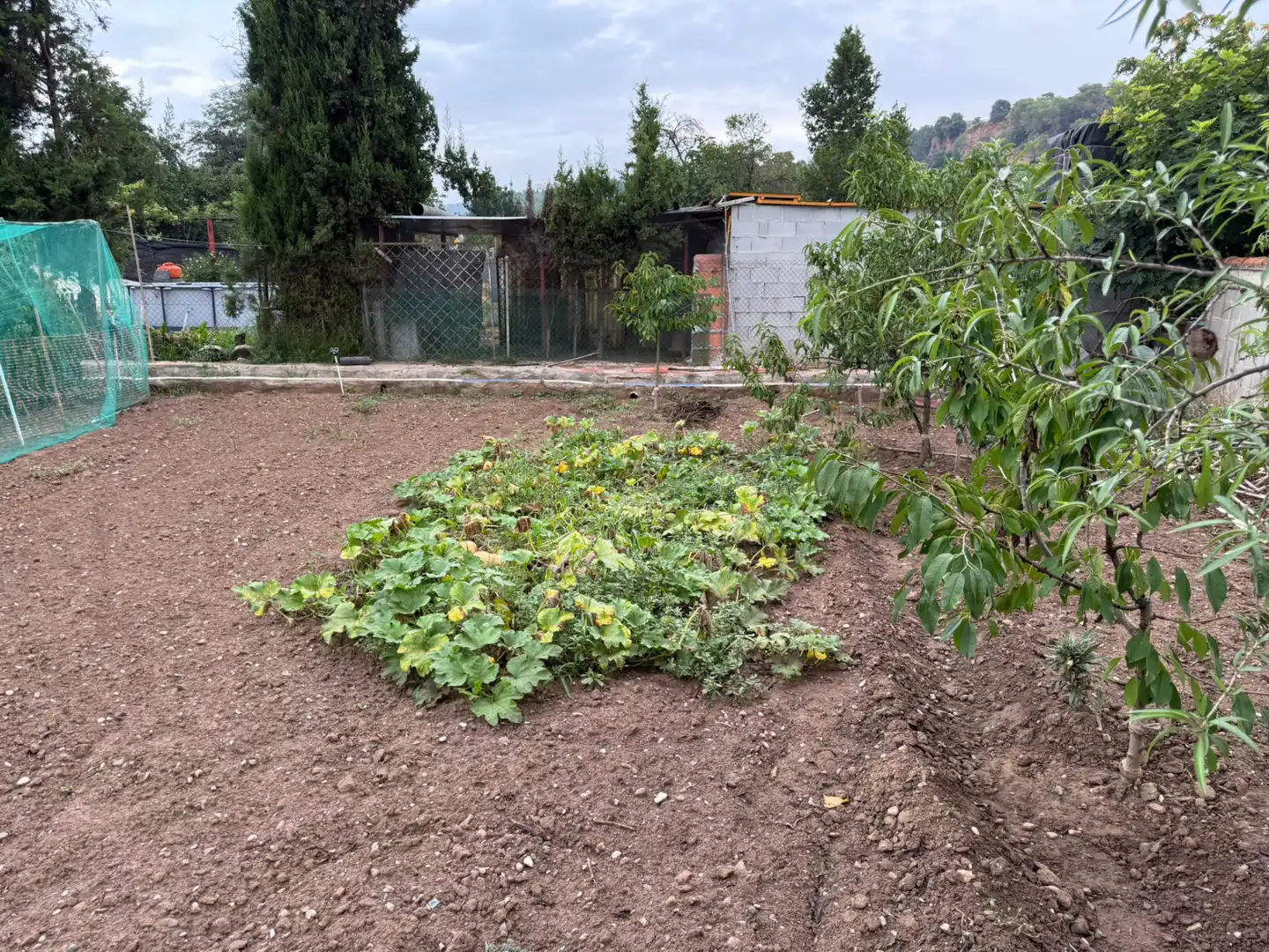Jardín de Terreno en venta en Sabadell