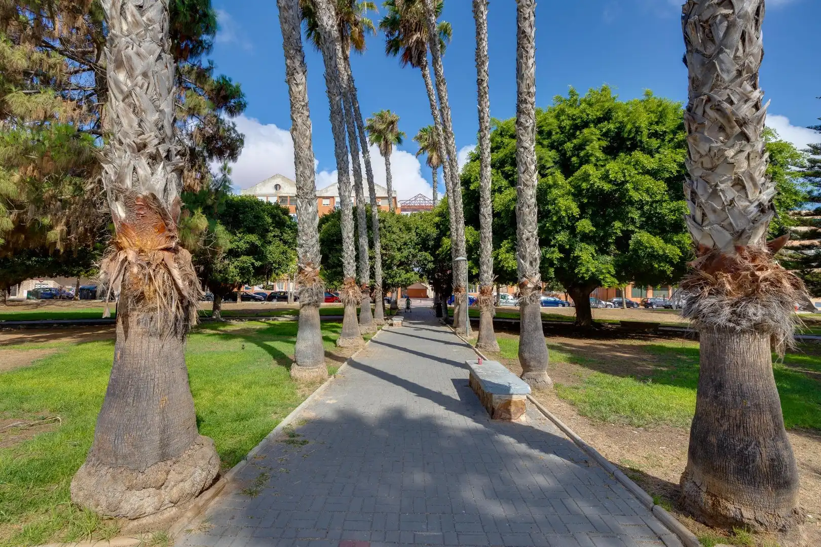Penthouse mit Terrasse zum Verkauf in Playa del Acequión, Náufragos y Rocío del Mar, imagen 61