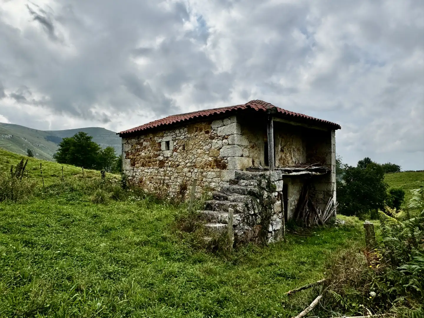 Vista exterior de Casa o chalet en venta en Riotuerto