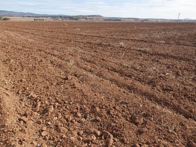 Terreno en Venta en Algorós - El Derramador