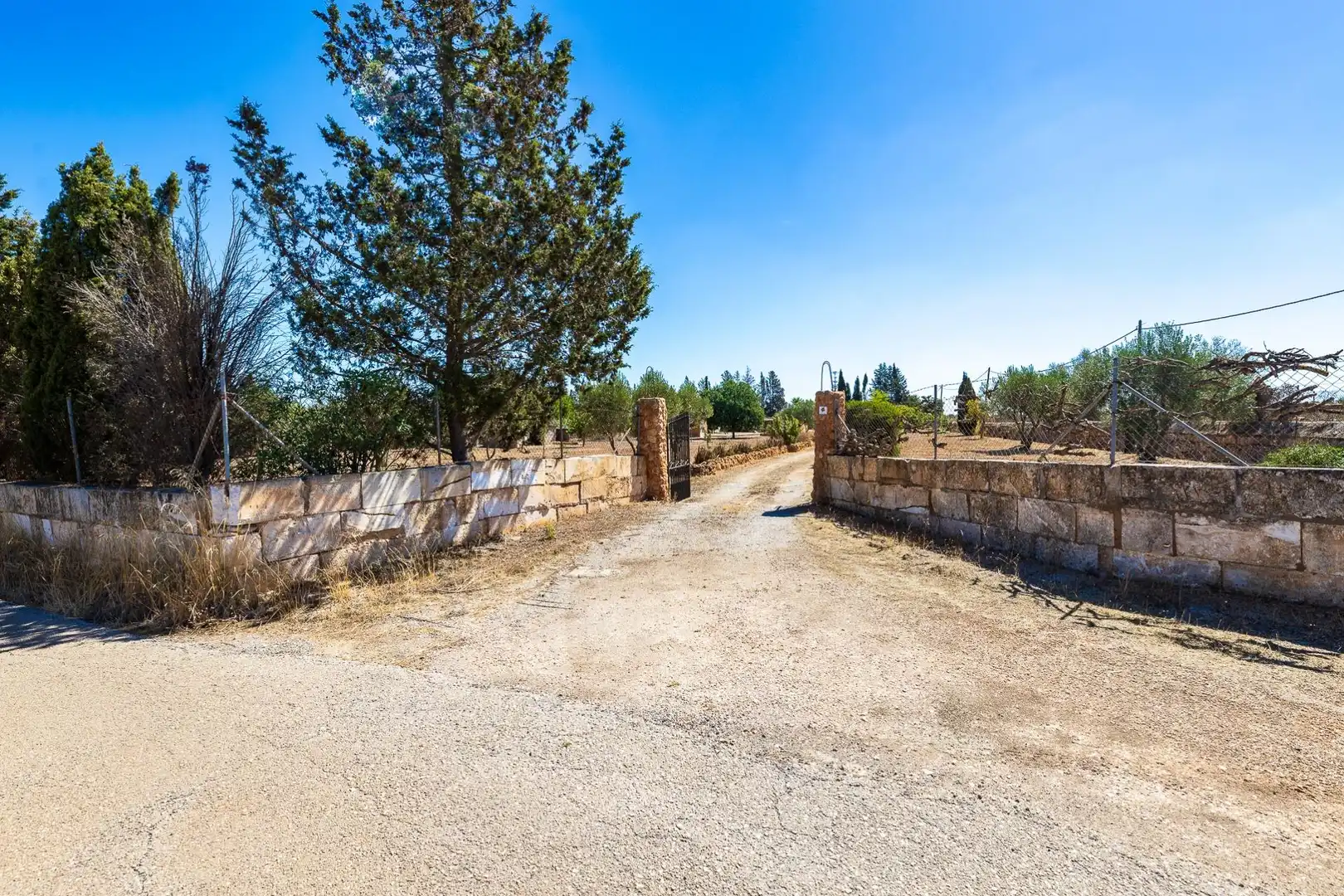 Rustikales Grundstück zum Verkauf in Llucmajor pueblo, imagen 44