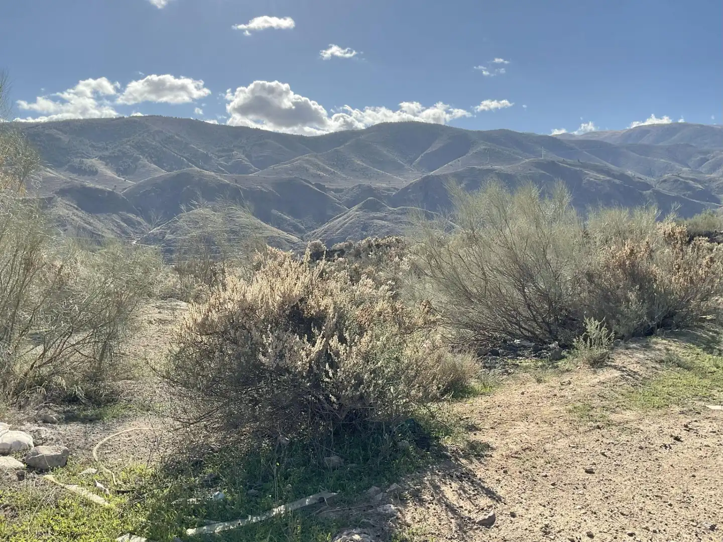 Exterior view of Land for sale in Padules