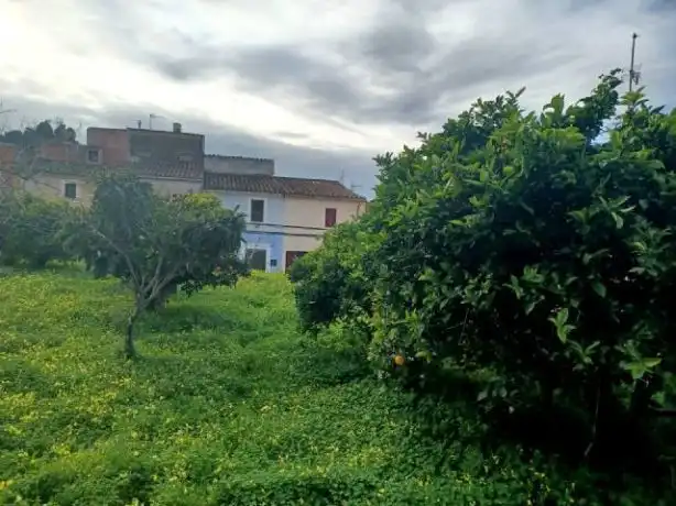 Terrenys i solars en venda a Felanitx Poble, imagen 3