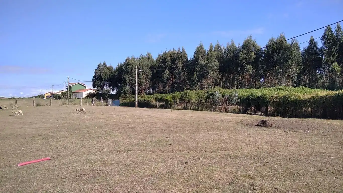 Residencial en venta en Lugar la Piñera, 113, Piloña