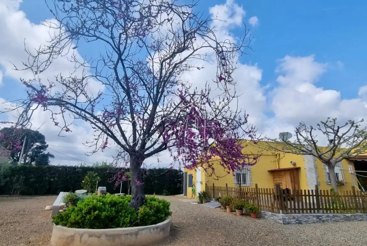 Casa rústica en venta en Llevant, imagen 6