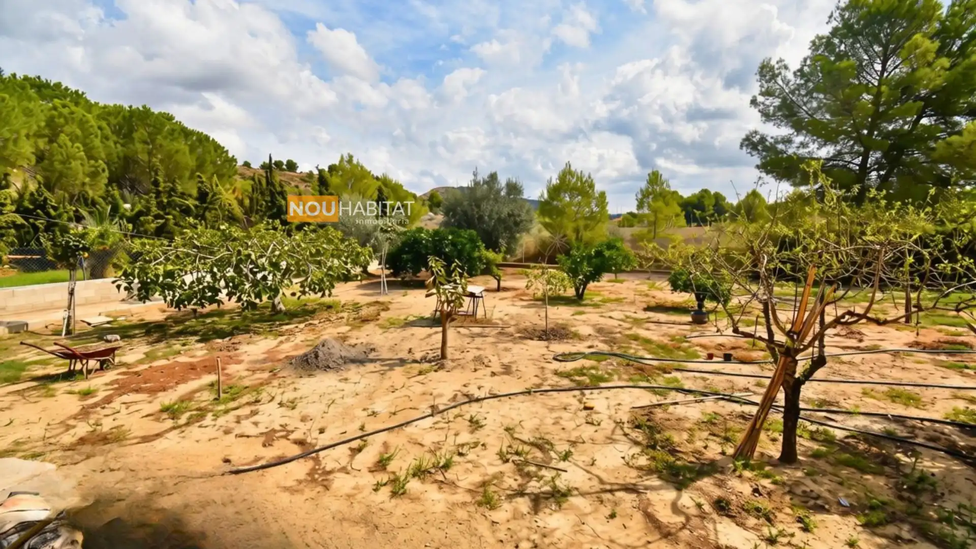 Villa con giardino in vendita a Montserrat, imagen 27