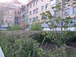 Wohnung mit Pool zur Miete in Avenida del Talgo, imagen 15