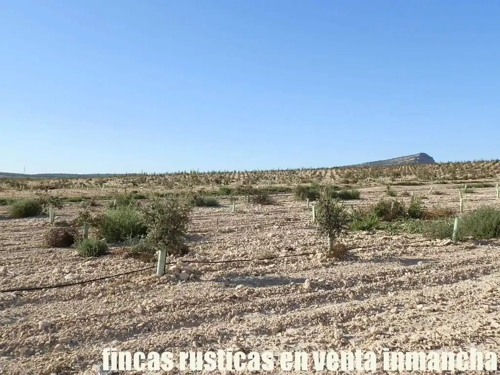 Rustikales Grundstück zum Verkauf in Jumilla, imagen 2