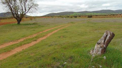 Photo 2 of Land for sale in San Carlos del Valle, Ciudad Real