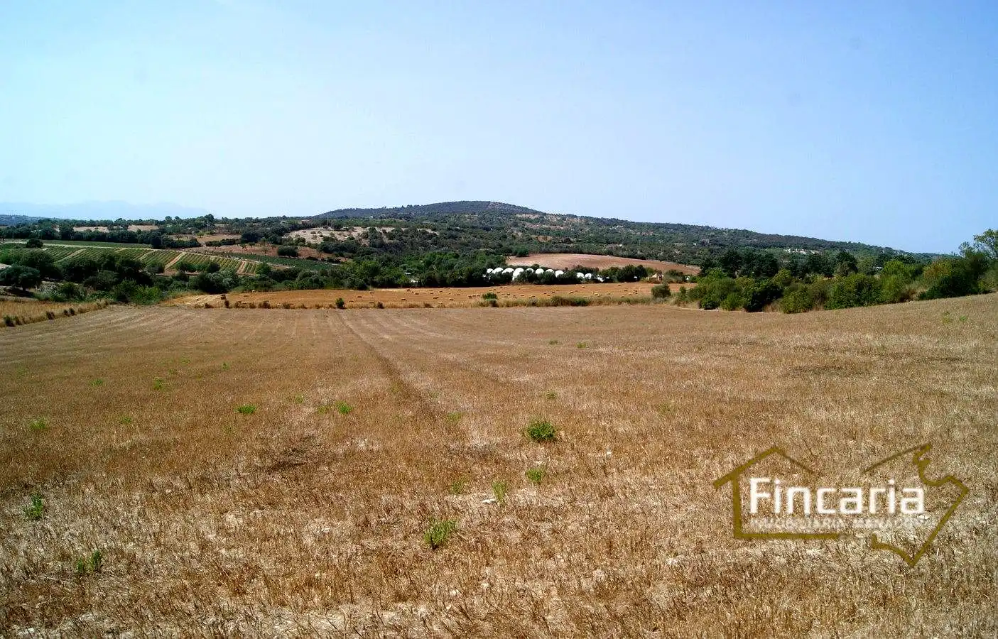 Terrenys i solars en venda a Camí de sa Murtera, imagen 14