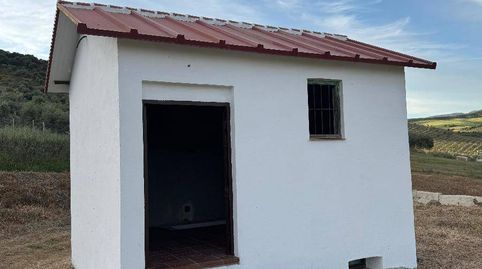 Almogía, parcela rústica con almacén, agua y luz de red.