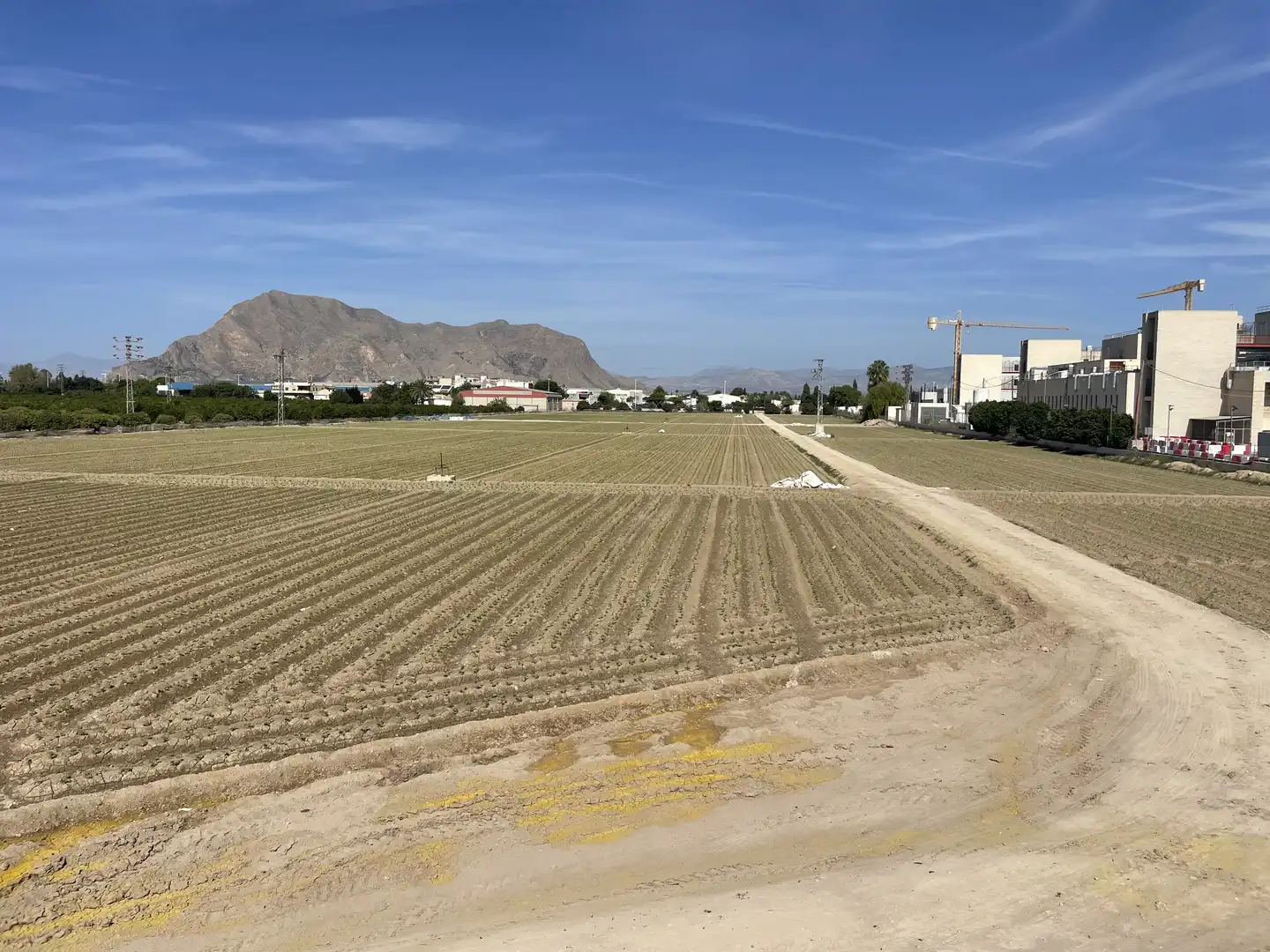 Grundstücke zum Verkauf in Orihuela