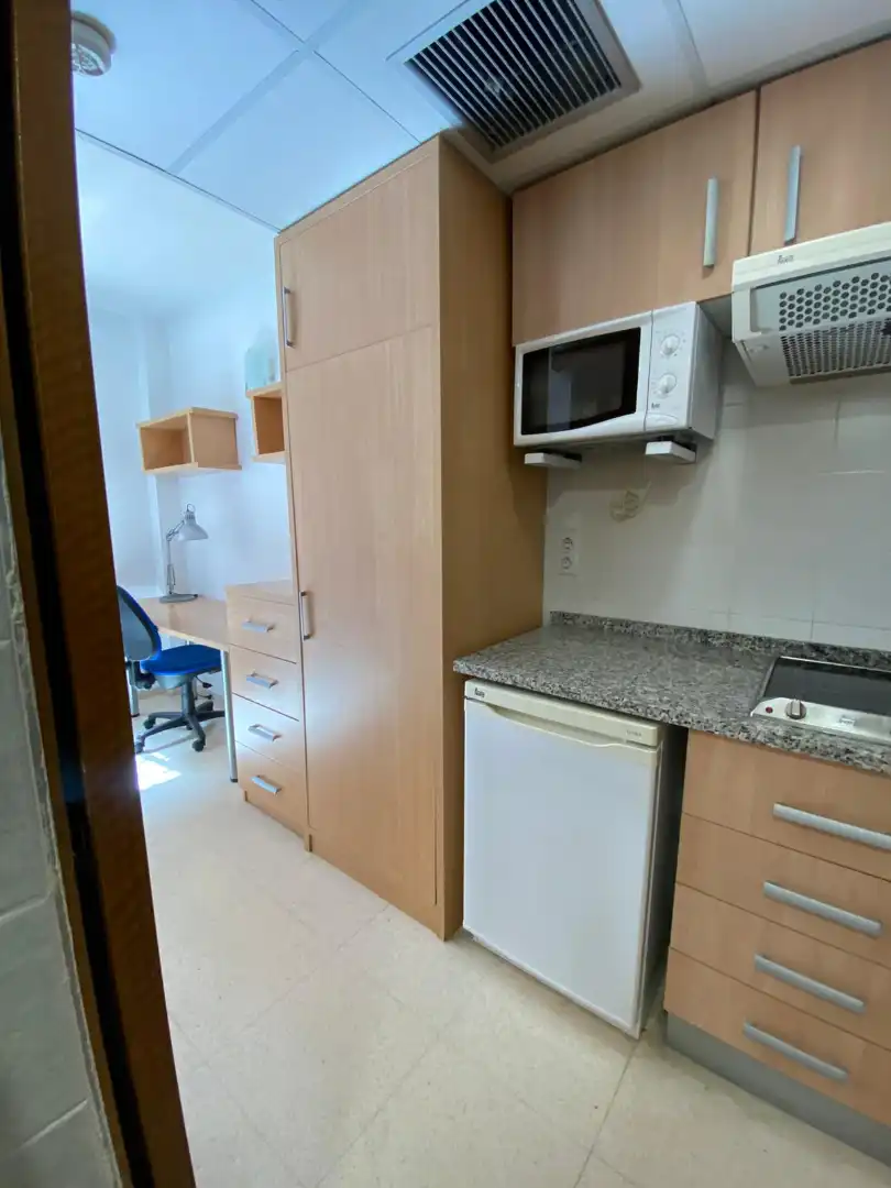 Cocina de Estudio en venta en San Vicente del Raspeig / Sant Vicent del Raspeig con Aire acondicionado, Amueblado y Microondas