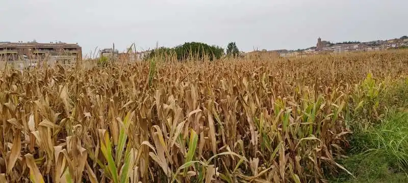 Terreno residencial en venta en Camarasa-Sau4 405
