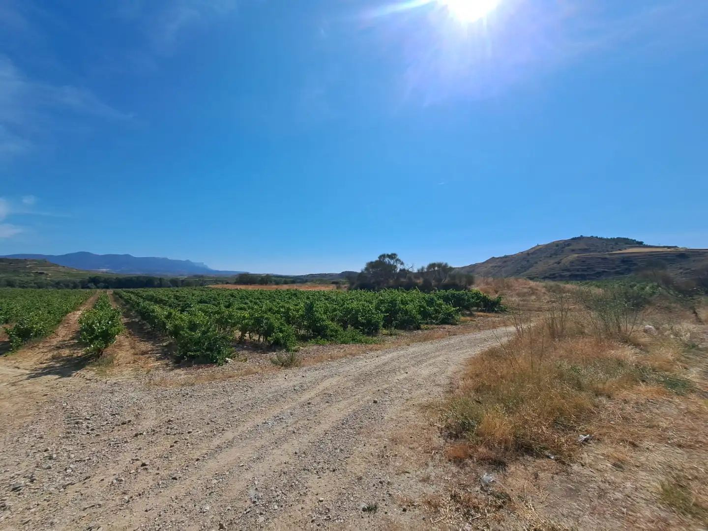 Rural land for sale in Calle Fresnos, imagen 2