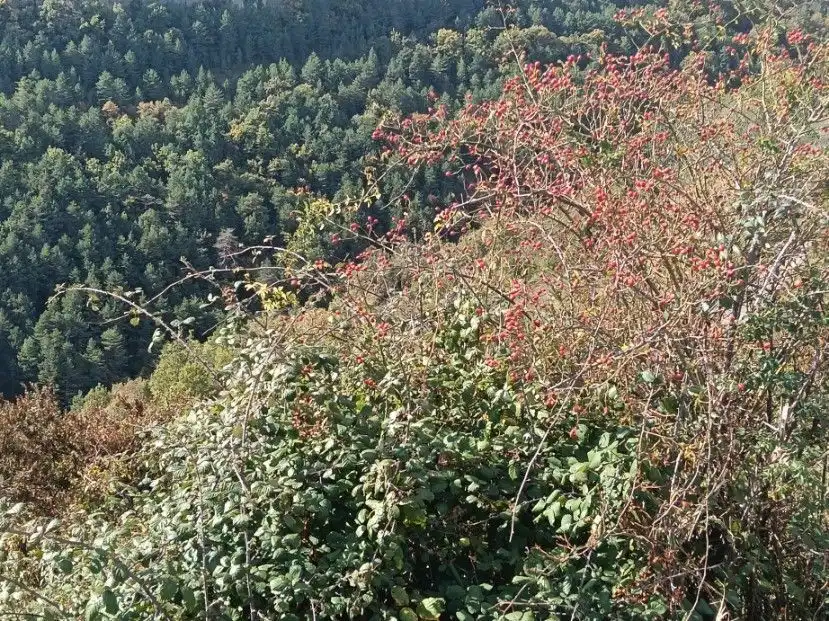 Terreni e lotti in vendita a Alta, imagen 17
