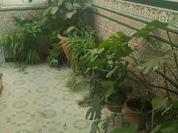 Jardín de Casa o chalet en venta en Casariche, Sevilla