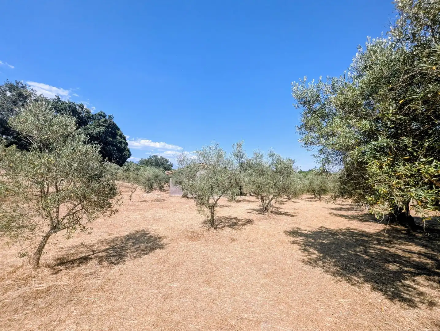 Maison à vendre à Villanueva de la Vera, imagen 43