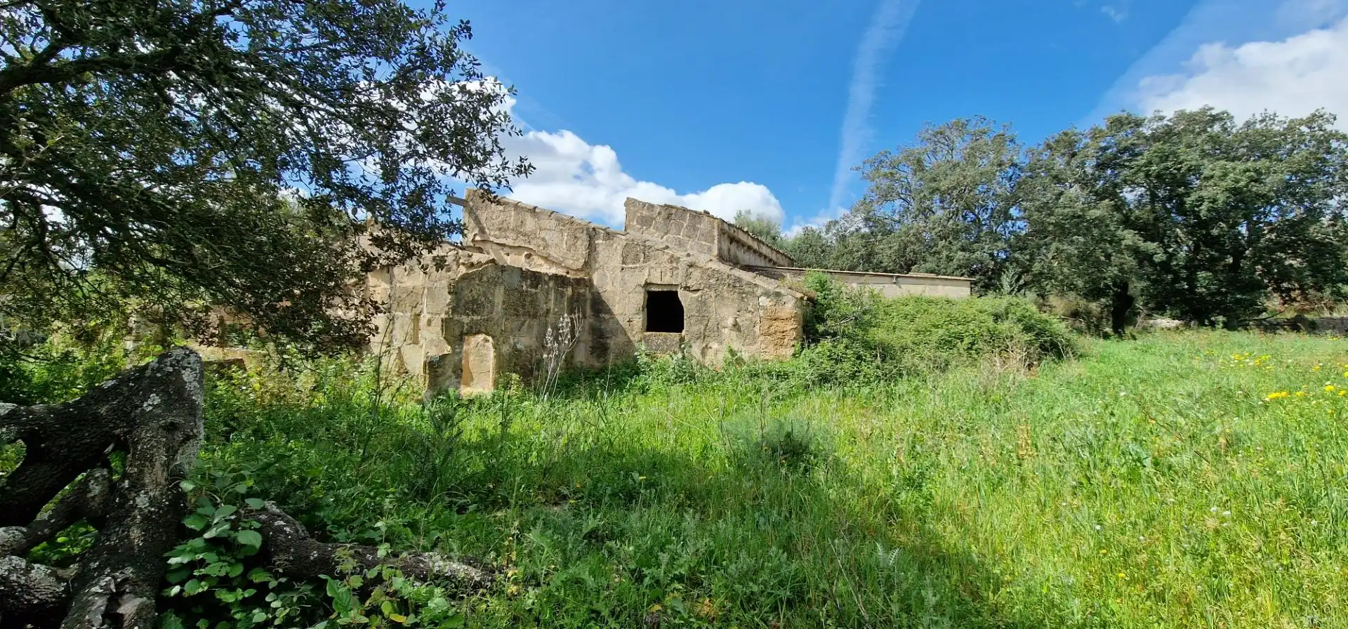 Exterior view of Country homes for sale in Manacor