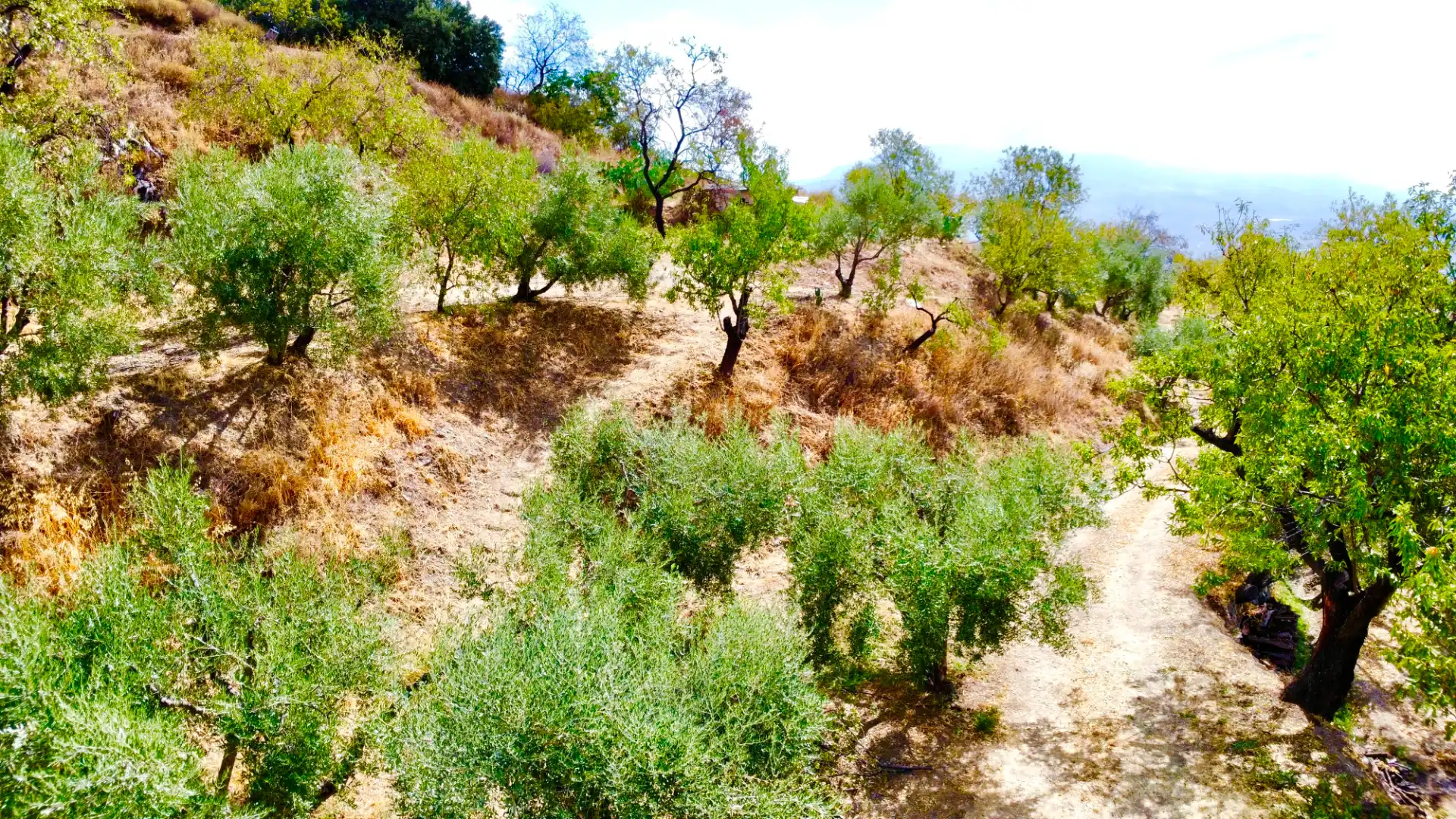 Terreno rustico in vendita a N/A, imagen 26